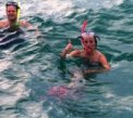 Wild Dolphin Adventures, Key West, FL, Thanks, Capt. Dave, for a great day with the dolphins