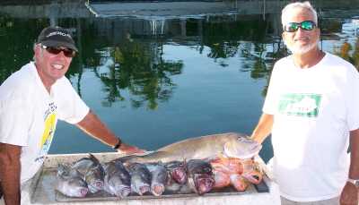  Key West, FL  Blue Line Tile fish is the largest fish in this picture of 13 lbs. 2 oz. and a mess of smaller ones, Snowy groupers of 5 lbs. 5 oz. and 3 lbs. 6 oz., and Rose fish in the 1-2 lb. range caught by Capt. Dave Lewis and Vaughan Spencer