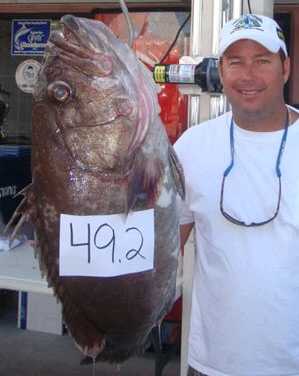 Local Keys 2007 Deep Drop Tournament winning Snowy grouper of 49.2 lbs