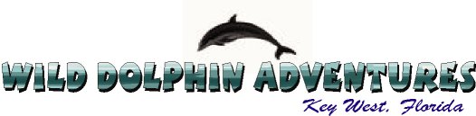 A Wild Dolphin Adventure, Key West, Florida, dolphin picture logo