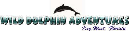 Wild Dolphin Logo